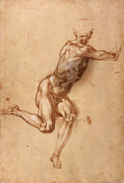 Zittende mannelijke naaktfiguur die zich omdraait door Michelangelo Buonarroti